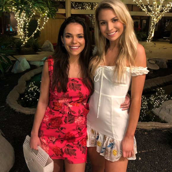 House of Harlow 1960 x revolve dress - Picture 3 of 3